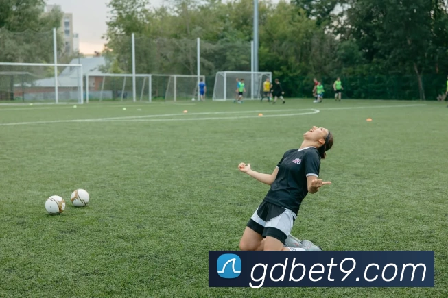 高德娱乐官网平台生态图